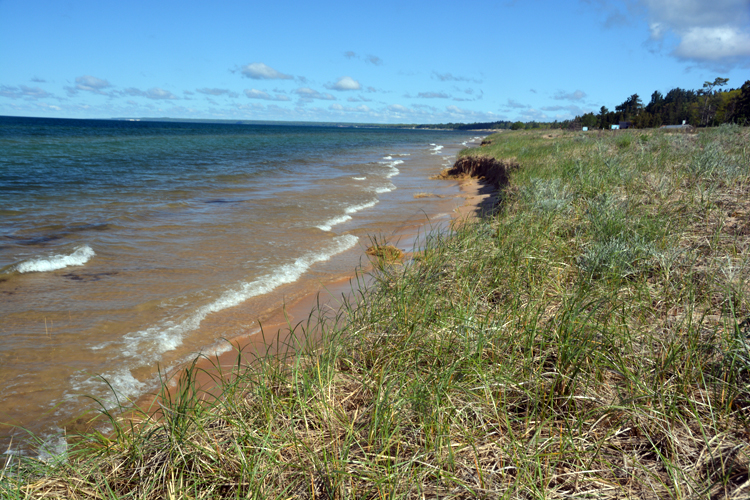 dunes